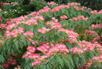 20160928164152_50452