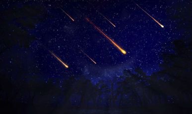 jt6ji0l5j19s8lhv0qtm