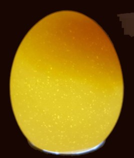 egg-not-fertile-candled-400