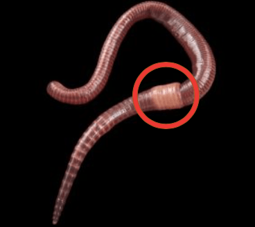 Screen Shot 2019-02-14 at 22.40.44